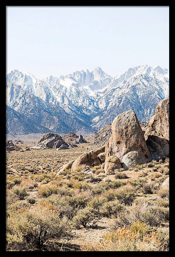 High Altitude Desert Serenity