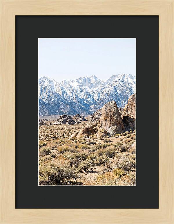 High Altitude Desert Serenity