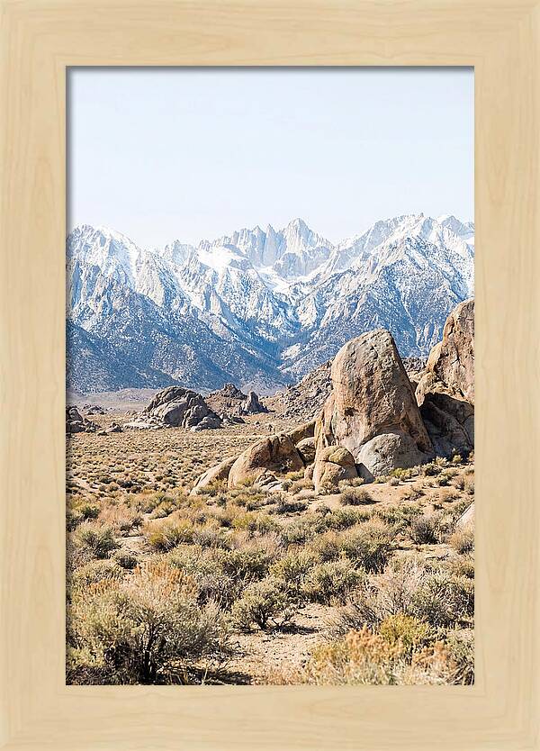 High Altitude Desert Serenity