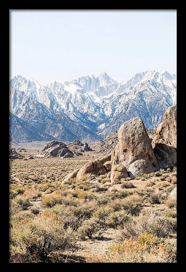 High Altitude Desert Serenity