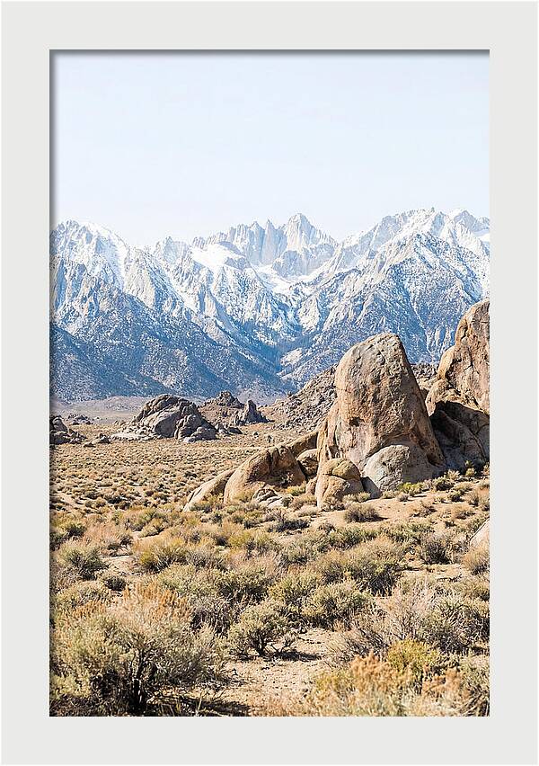 High Altitude Desert Serenity