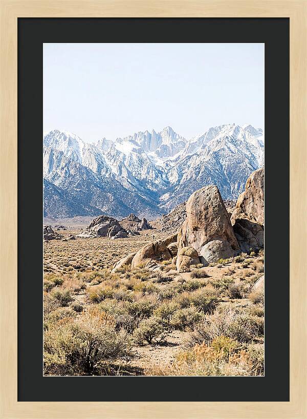 High Altitude Desert Serenity