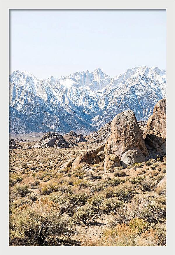 High Altitude Desert Serenity