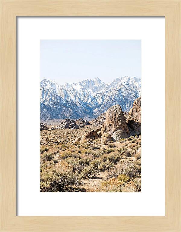 High Altitude Desert Serenity