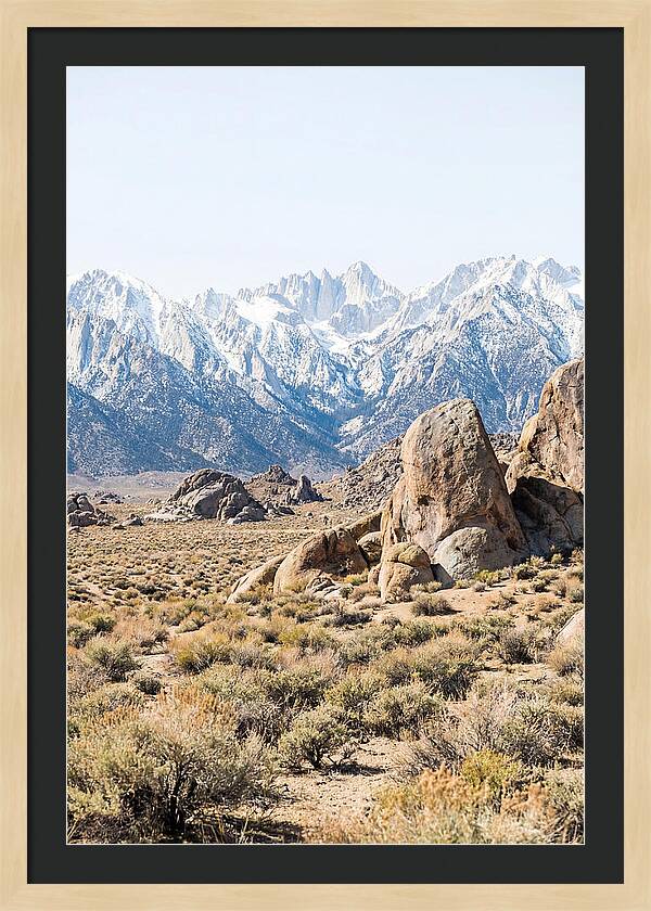High Altitude Desert Serenity