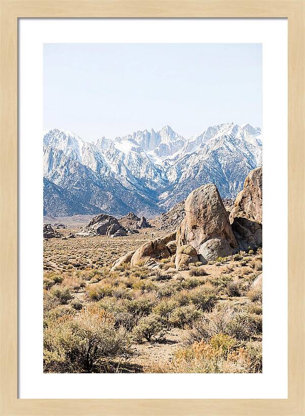 High Altitude Desert Serenity
