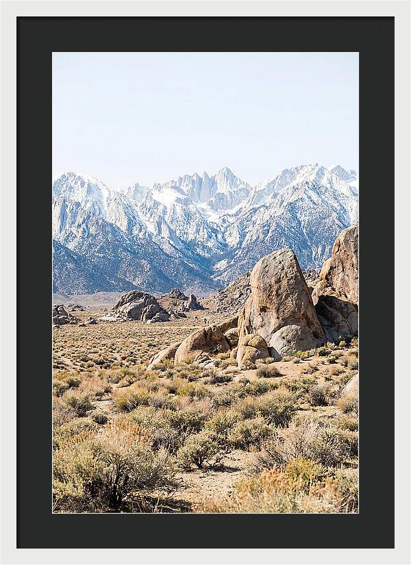 High Altitude Desert Serenity