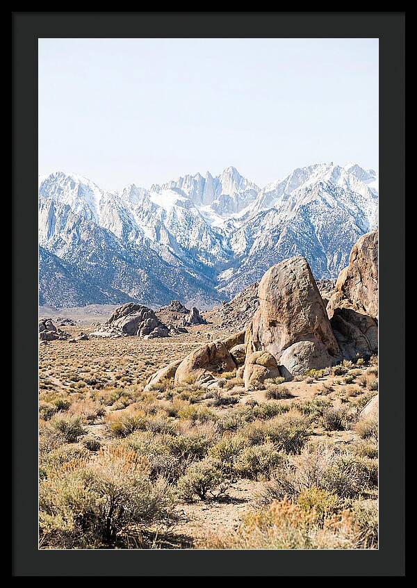 High Altitude Desert Serenity