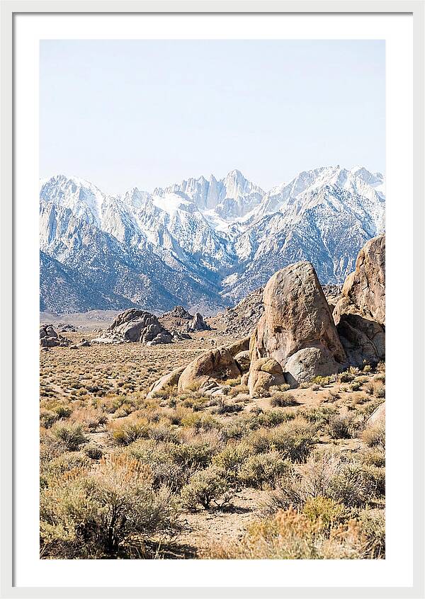 High Altitude Desert Serenity