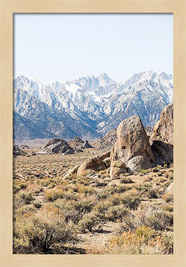 High Altitude Desert Serenity