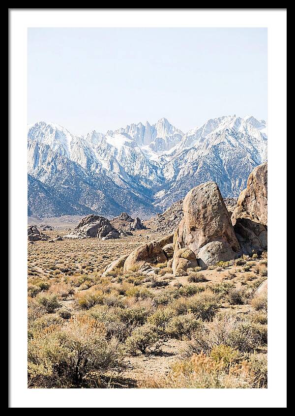 High Altitude Desert Serenity