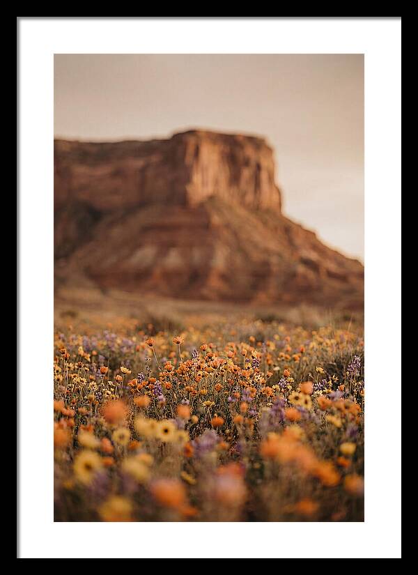 High Desert Mesa With Wildflowers
