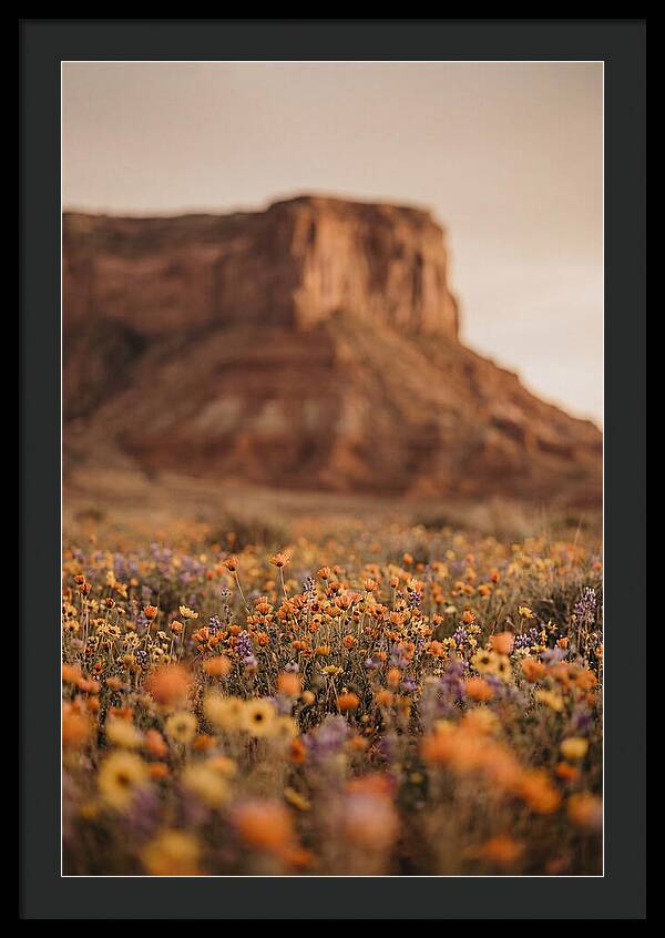 High Desert Mesa With Wildflowers