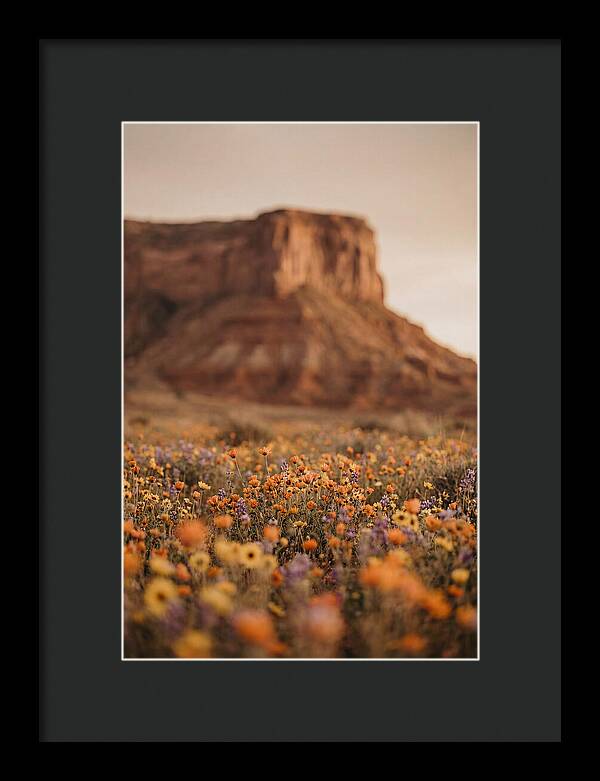 High Desert Mesa With Wildflowers