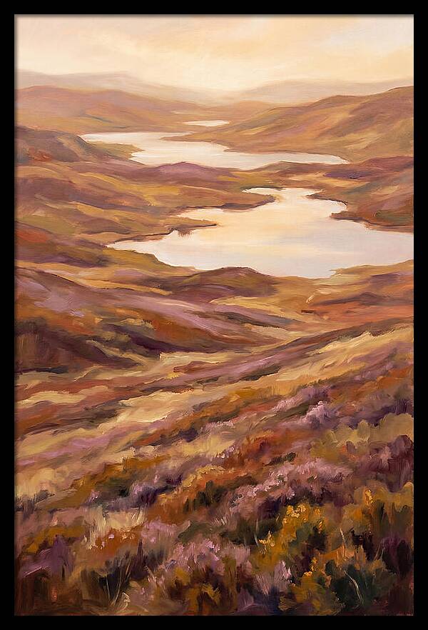 Highland Moor Serenity