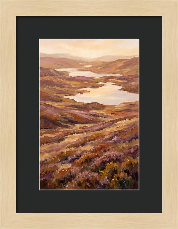 Highland Moor Serenity