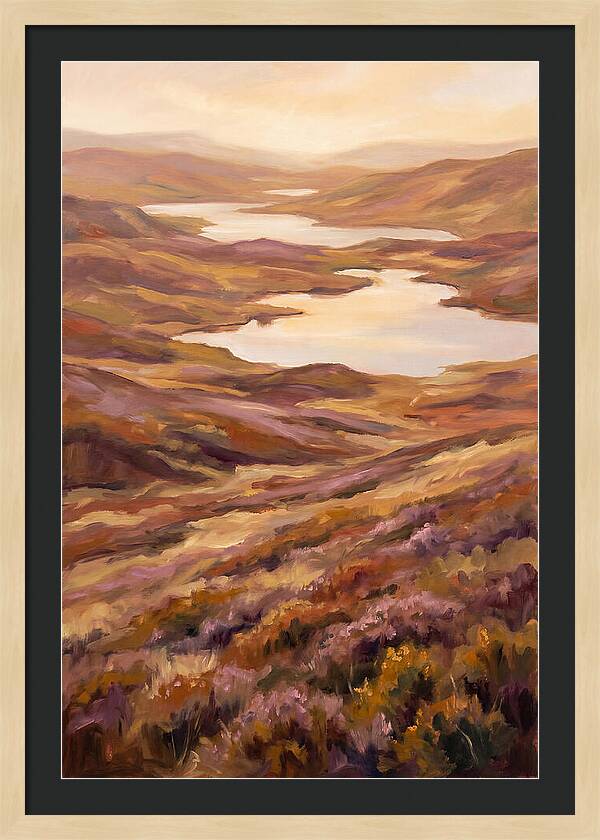Highland Moor Serenity