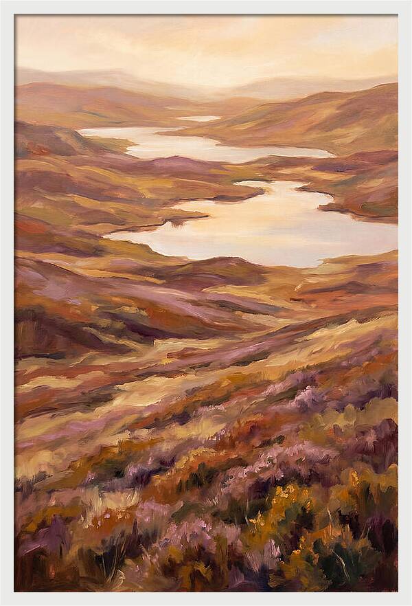 Highland Moor Serenity