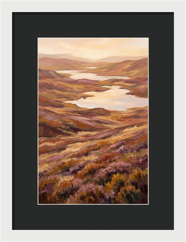 Highland Moor Serenity