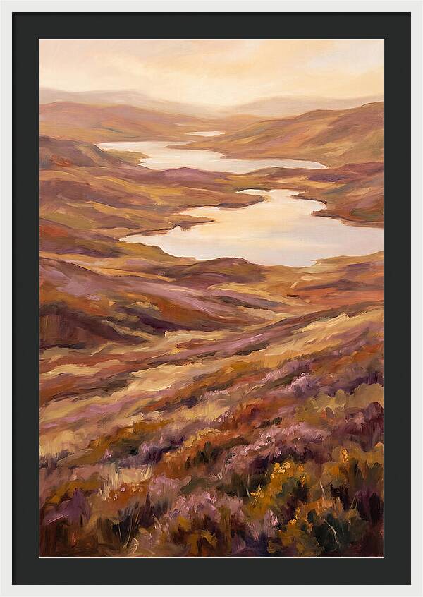 Highland Moor Serenity