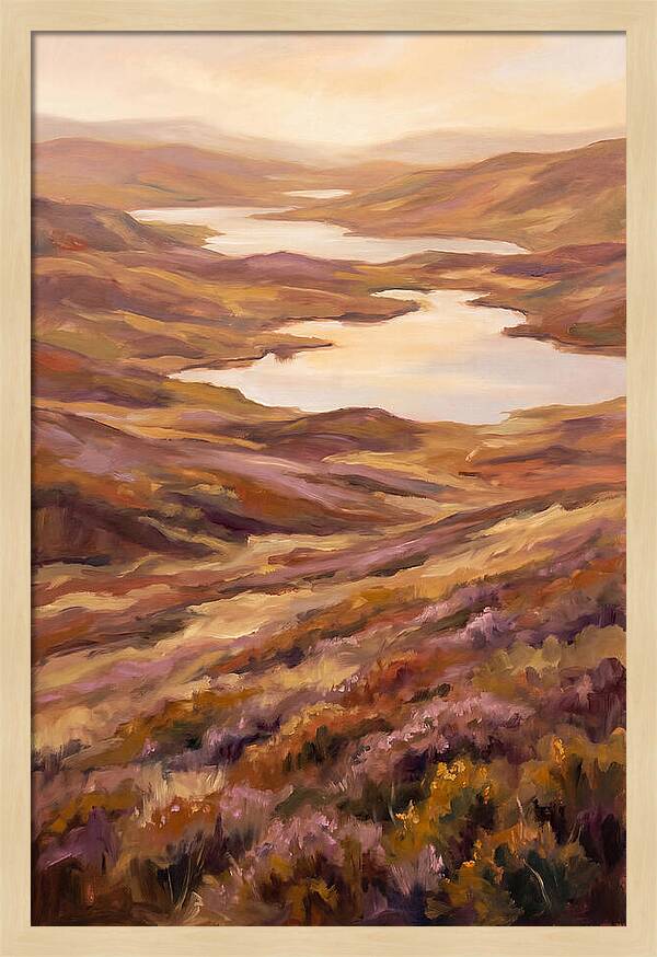 Highland Moor Serenity