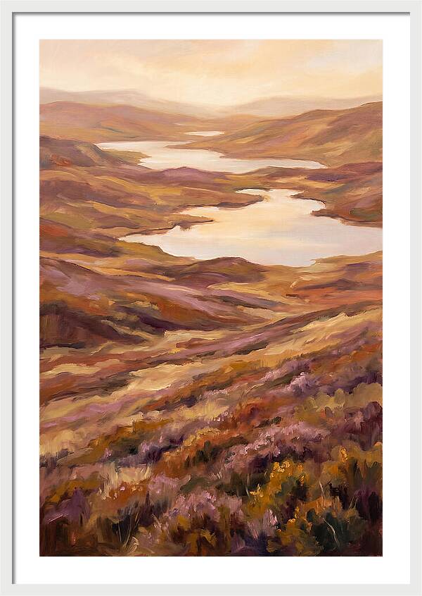Highland Moor Serenity