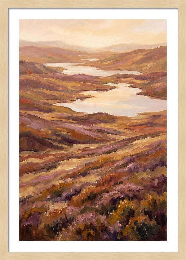 Highland Moor Serenity