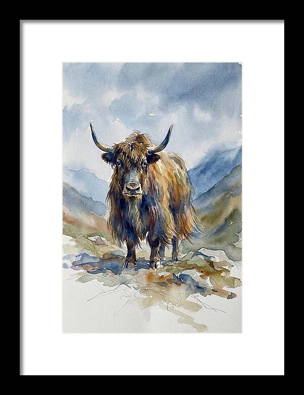 Highland Yak In Nature