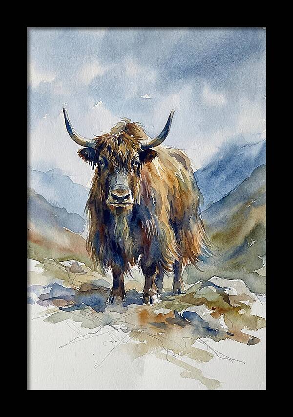 Highland Yak In Nature