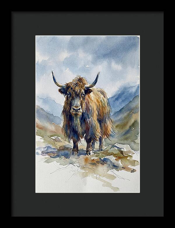 Highland Yak In Nature
