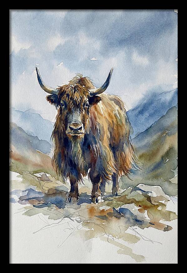 Highland Yak In Nature