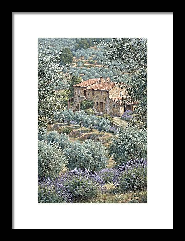 Hillside Villa Surrounded By Olive Trees