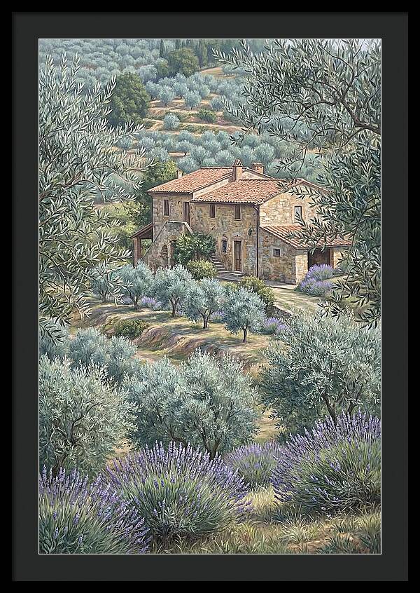 Hillside Villa Surrounded By Olive Trees