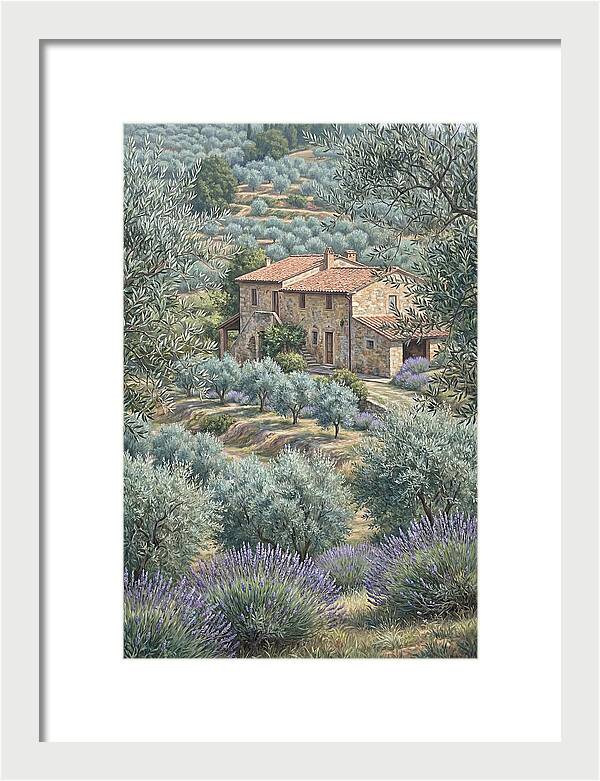 Hillside Villa Surrounded By Olive Trees