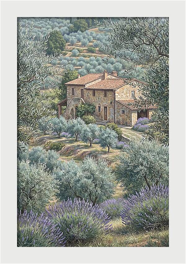 Hillside Villa Surrounded By Olive Trees