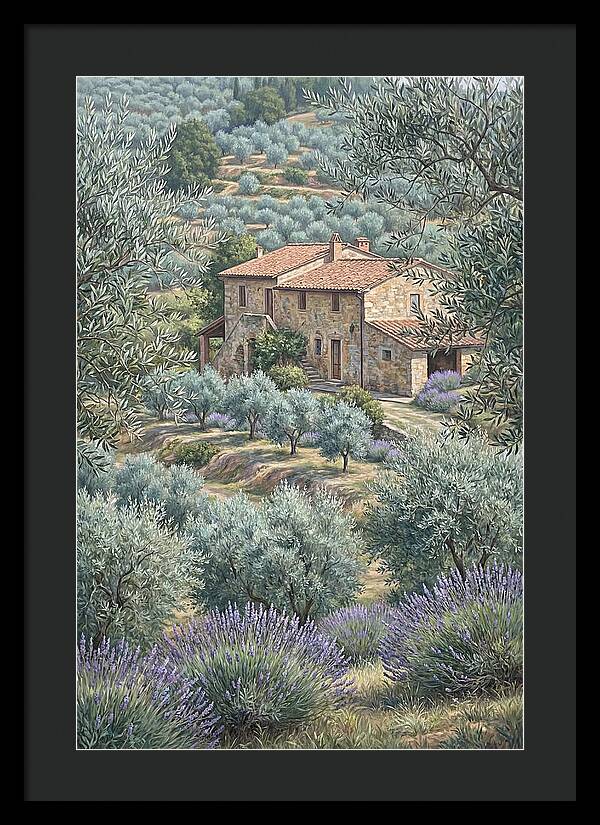 Hillside Villa Surrounded By Olive Trees