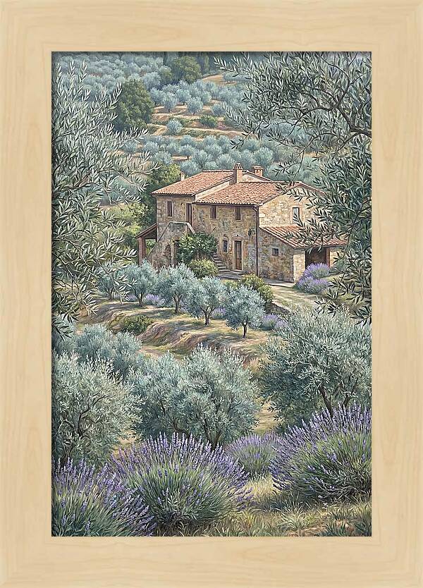Hillside Villa Surrounded By Olive Trees