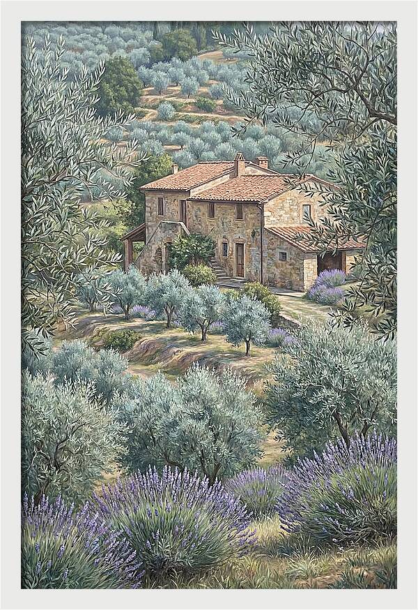 Hillside Villa Surrounded By Olive Trees