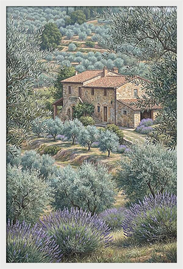Hillside Villa Surrounded By Olive Trees