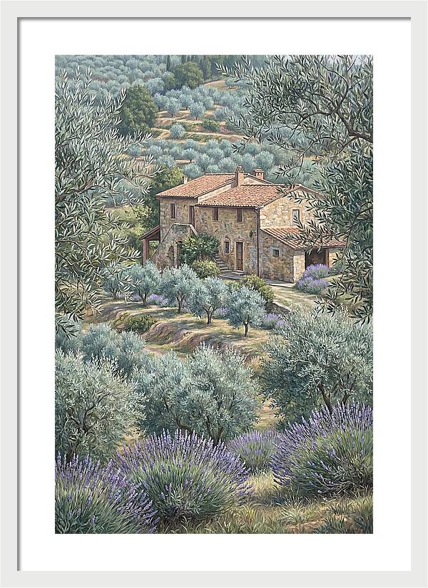 Hillside Villa Surrounded By Olive Trees