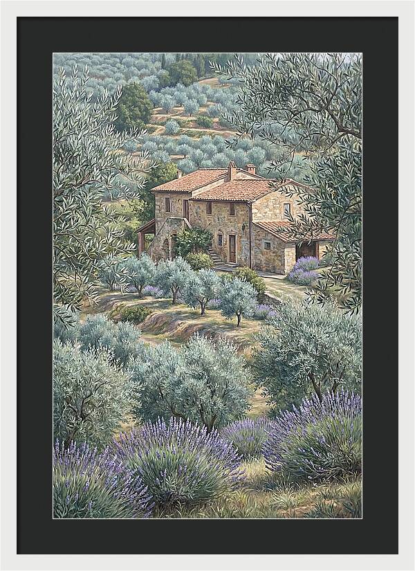 Hillside Villa Surrounded By Olive Trees