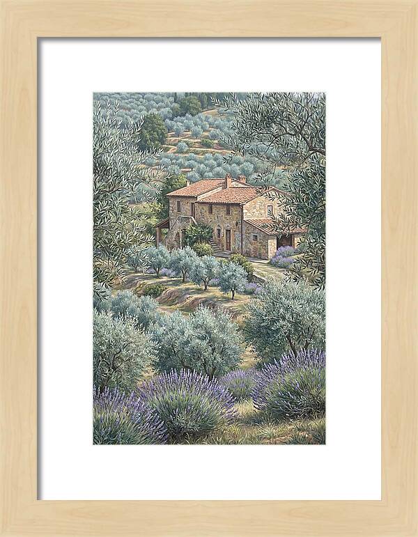 Hillside Villa Surrounded By Olive Trees