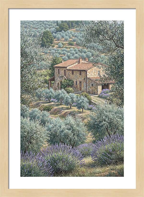 Hillside Villa Surrounded By Olive Trees