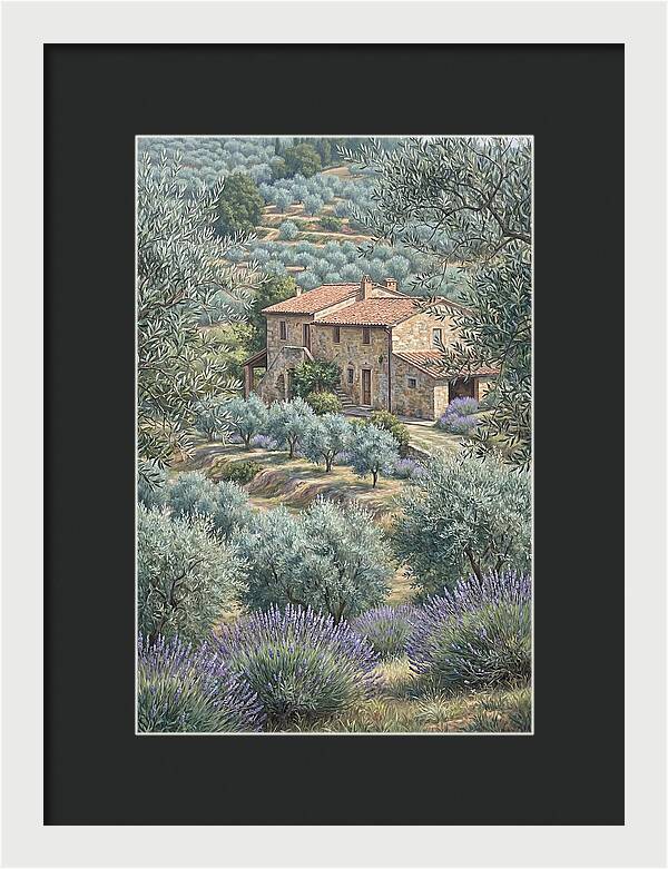 Hillside Villa Surrounded By Olive Trees