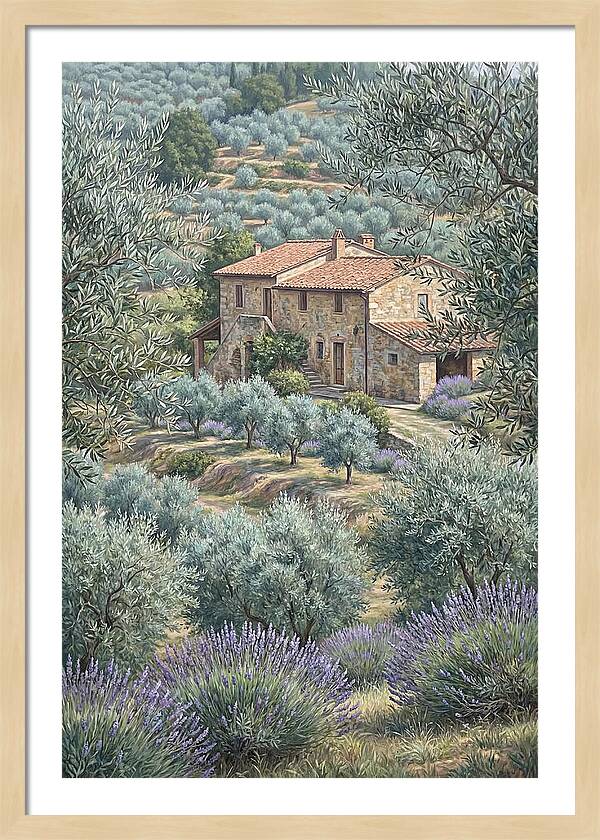 Hillside Villa Surrounded By Olive Trees