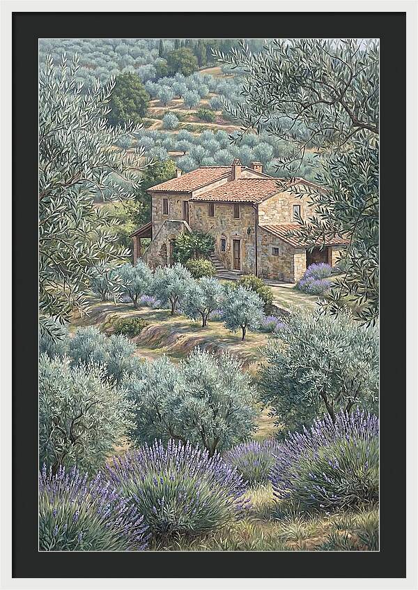 Hillside Villa Surrounded By Olive Trees