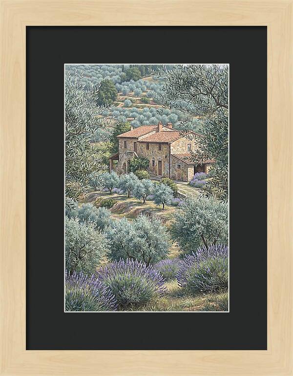 Hillside Villa Surrounded By Olive Trees
