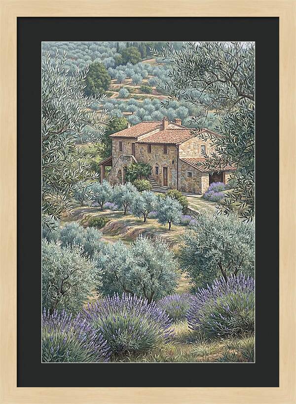 Hillside Villa Surrounded By Olive Trees