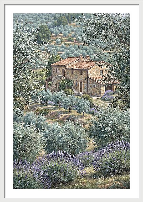 Hillside Villa Surrounded By Olive Trees