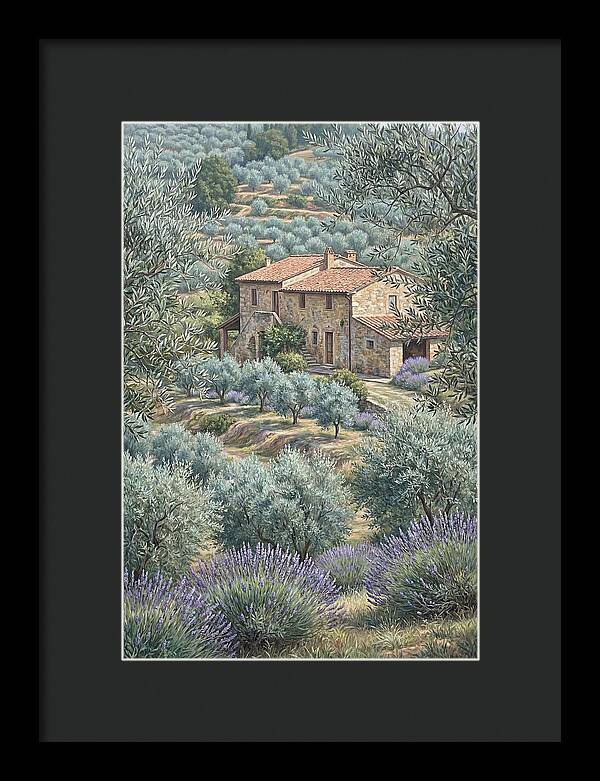 Hillside Villa Surrounded By Olive Trees